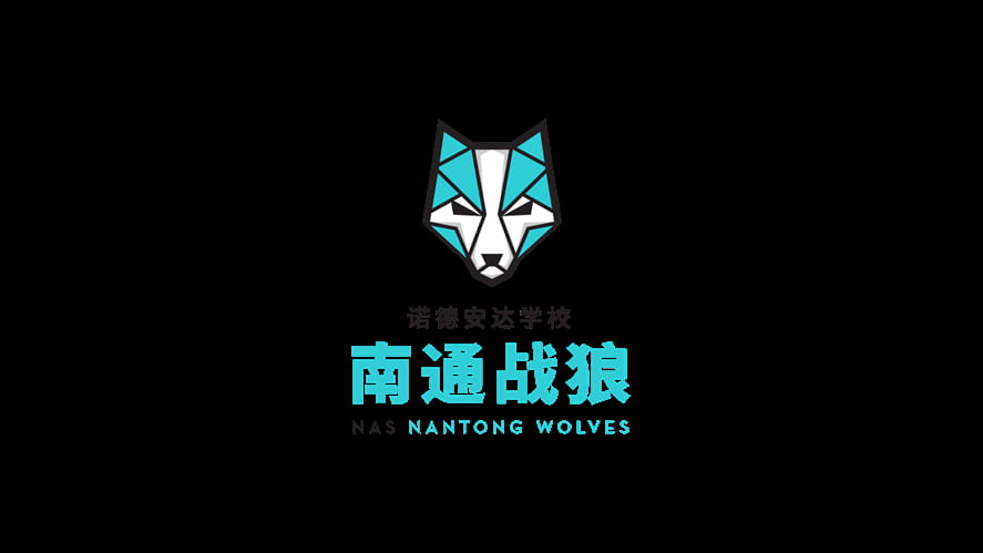 Nantong Wolves Stack RGB01